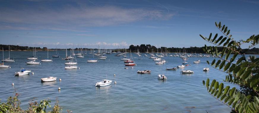 La Ferme Du Vincin Bed & Breakfast Vannes Exterior photo